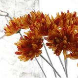 Wedding Artificial Daisy Flower for Tables Flower Wedding Decoration Flower Garland Chrysanthemum Stems