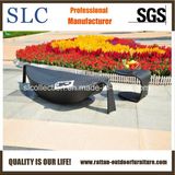 Rattan Lounge Set/ Rattan Outdoor Furniture (SC-35018 / SC-35033)