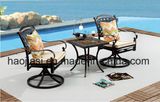 Outdoor /Rattan / Garden / Patio / Hotel Furniture Cast Aluminum Chair & Table Set (HS3190RC &HS 7060ET)