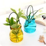 Hanging Glass Vases for Decoration