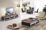 High Glossy Painted Glass TV Stand (DS-2016#)