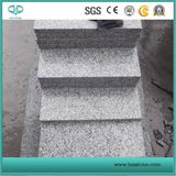 G655/Grey Granite/White Granite for Paver/Kerbstone/Cube/Cobblestone/Borders/Wall Claddings/Garden Stone/Fireplace/Vanity Top