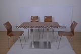 Food Court Market Ss Leg Cafe Table with Chairs (FOH-NCP15-8)