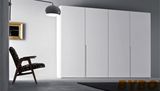 High Glossy Lacquer Finish Wardrobe (BY-W-20)