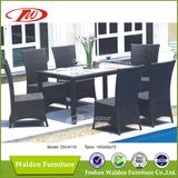 Rattan Hotel Dining Set (DH-6110)