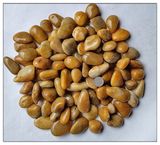 Chinese River Stone Massage Pavement Cobblestone Garden Pavement Pebbles for Sale
