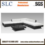 Top Quality Rattan Wicker Sofa (SC-B7018-B)
