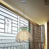 Creative Flower Basket Pendant Lamp (GD-1045A-1)