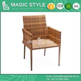 Outdoor Project Dining Chair with Cushion Bistro Chair