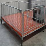 Piglet Nursery Bed/ Nursery Bed /Piglet Care Beds for Pig Industry