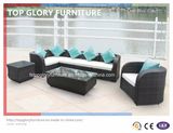 Wicker Small Corner Sofa Set for Outdoor (TG-048)