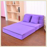 New Design Fabric Sofa Bed for Hotel Home Furniture 195*150cm
