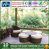 Leisure Furniture PE Rattan Furniture Round Sofa Round Ottoman (TG-JW20)