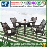 Rattan Coffee Colour Outdoor Garden Dining Furniture Set (TG-1289)