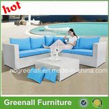 New Style Synthetic White Cheap Rattan Outdoor Furniture