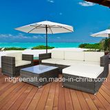 Outdoor/Indoor/Garden/Rattan Furniture Poly Rattan Sofa Set