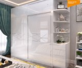 High Quality of Home Furniture Wardrobe (WD-1297)