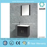 Solid Wood Two Doors Bathroom Cabinet (BLS-NA091)