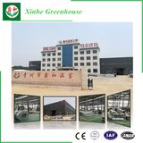 Best Selling Commercial Multi-Span Plastic Glass Greenhouse for Vegetable/Flower Growing