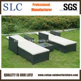 Wicker Chaise Lounge/ Double Rattan Sun Lounge (SC-B9511)
