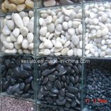 White and Black Natural Polished Pebbles for Landscaping