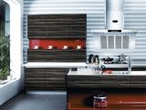 MDF Kitchen Cabinet Wooden Cabinet (ZH-9630)