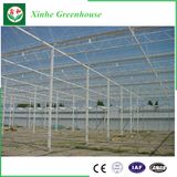 Turn Key Greenhouse Project