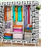Folding Portable Storage Cloth Wardrobe Accessories (FW-19)