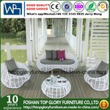 Outdoor Furniture Relax Wicker Garden Sofa (TG-010)