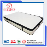 2017 Hot Sale Cheap Price 10 Inch Pocket Spring Rolled Packing Mattress
