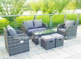 Lay Down Outdoor Rattan Garden Furniture (GN-9103-1S)