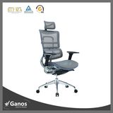 Jns 5 Years Warranty Luxury Ergonomic Mesh Office Chair