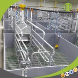 Pig Farm Equipment for Sow Farrowing Bed Farrowing Crate