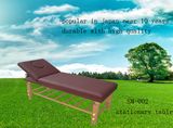 Deluxe Stationery Massage Table (SM-002)