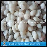 Natural Polished White Pebble Stone for Landscaping