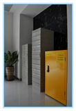 China Durable Safety Storage Lab Steel Fire Proof Cabinet