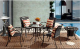 Outdoor /Rattan / Garden / Patio / Hotel Furniture Rattan Chair &Table Set (HS 1025C& HS6060ET)
