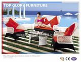 Modern Outdoor Garden Patio Furniture Wicker Sofa (TG-080)