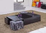 Coffee Table with Small Sofa Set Home Furniture (CJ-M043)