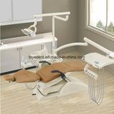 Luxury Design Dental Unit Equipment Chair with LED Light