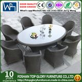 Outdoor Garden Patio Furniture Dining Set (TG-1632)