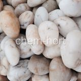 White Pebble for Garden, Decoration (F08-white series)