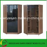 New Design Double Color Cloest/Wardrobe