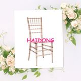 Champagne Color Crystal Resin Chiavari Chair in Wedding