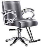 Hair Salon Luxury Styling Furniture/Barber Chair