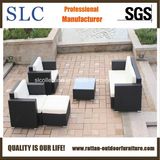 Rattan Garden Furniture Rattan Sofa (SC-B7016)
