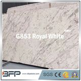 Luxury Royal White Granite Stone Table Countertop for Kitchen, Vanity