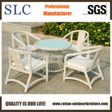 Comfortable Aluminium Outdoor Garden Rattan Furniture (SC-B8959)