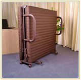 Hospital Accompany Folding Bed/Hospital Bed