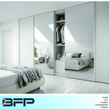 Mirrored Wardrobe Sliding Door